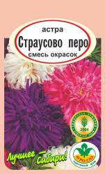 астра СТРАУСОВО ПЕРО СМЕСЬ / АГРО САД /